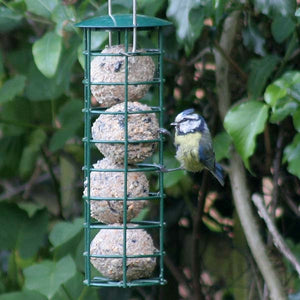 Premium 90g Fat Balls for Birds; Blue tits feeding on fat balls; Blue tits feeding on fat balls