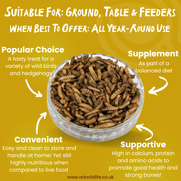 why buy calcium worms
