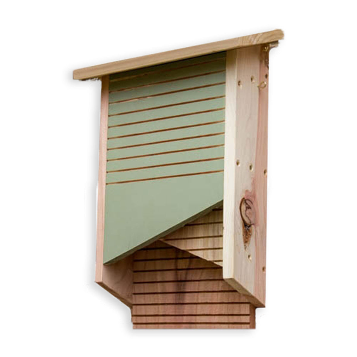 Conservation Bat Box - Ark Wildlife UK