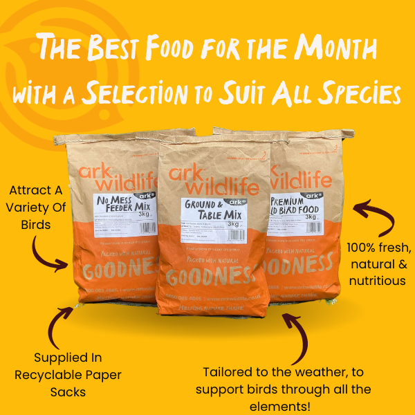 why buy ark bird food deal of the month