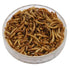 Dried Mealworms; Dried Mealworms; Starlings feeding on Dried Mealworms