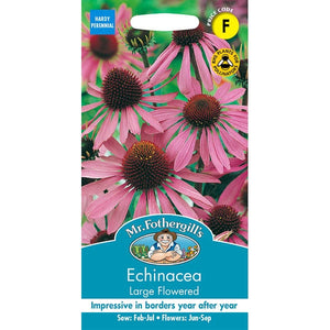Echinacea Large Flowered;Echinacea Large Flowered Instructions