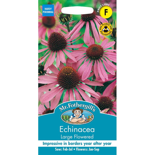 Echinacea Large Flowered;Echinacea Large Flowered Instructions