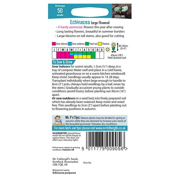 Echinacea Large Flowered;Echinacea Large Flowered Instructions