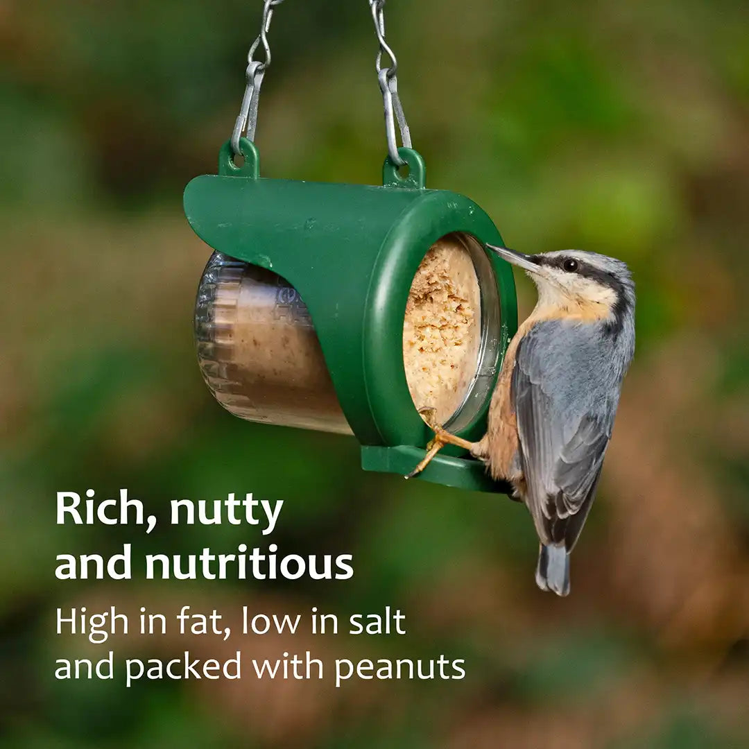 peanuts for birds