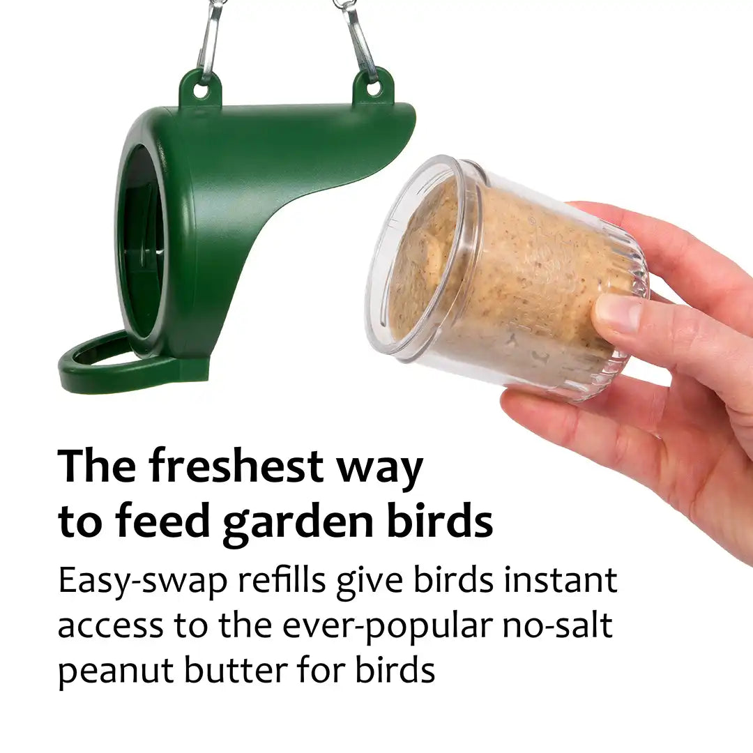 peanut butter for birds hanging feeder