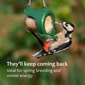 woodpecker feeder suet for birds