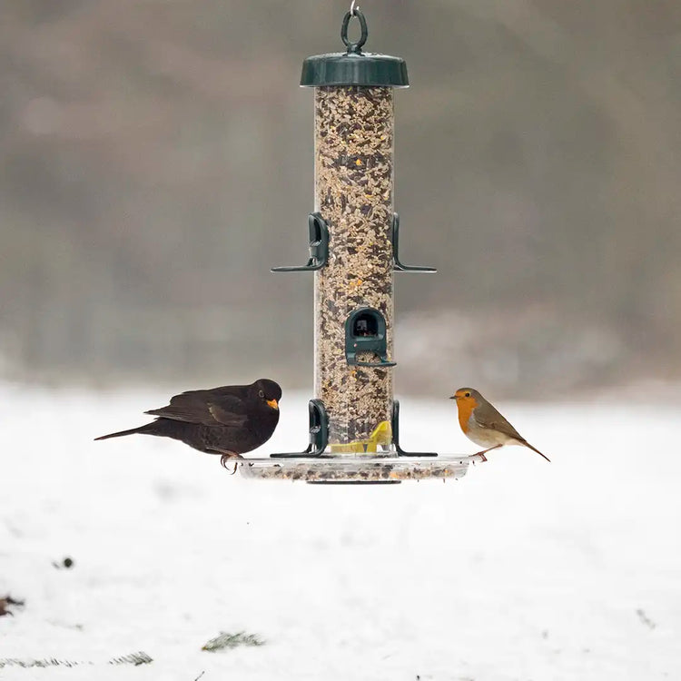 big easy seed tray  with robin and blackbird