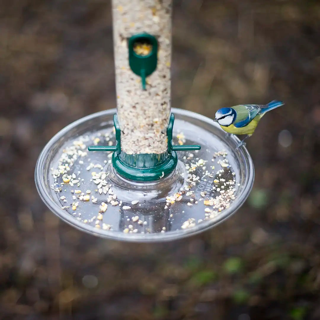 ring-pull bird feeders seed tray