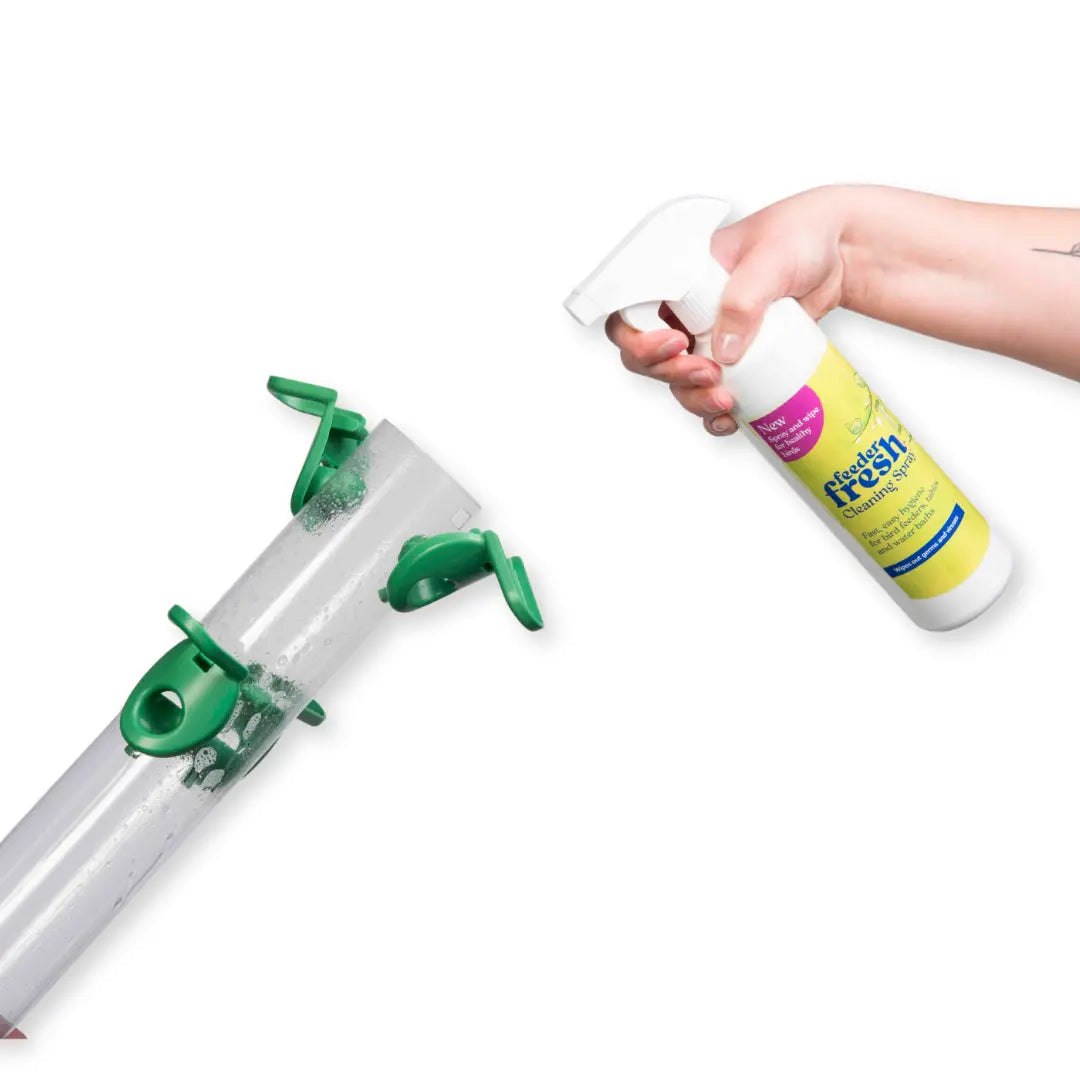 Hand holding a cleaning spray bottle for bird feeders on white background