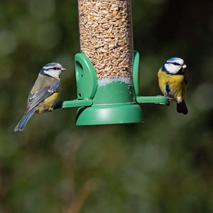 Two blue tits perched on a green bird feeder filled with seeds against a blurred natural background