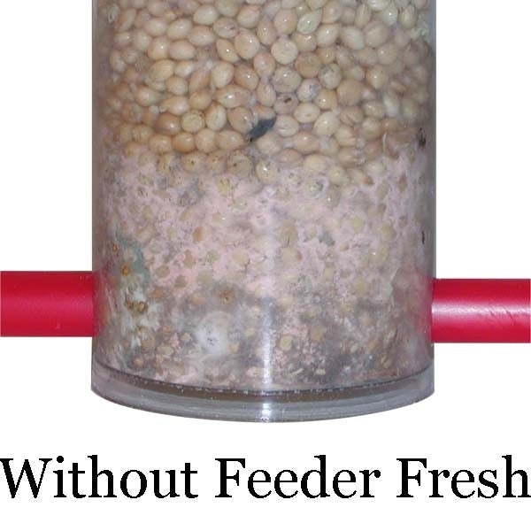 Feeder Fresh 250g; Feeder with feeder fresh; Feeder without feeder fresh, mould