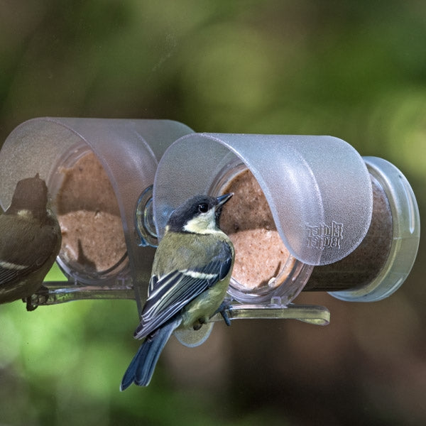 Flutter Butter Pod Window Feeder (Pod not included); Flutter Butter Window Feeder in use