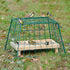ground cage for birds