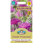 Greater Knapweed;Greater Knapweed Instructions