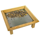 ground feeder for birds with seed on