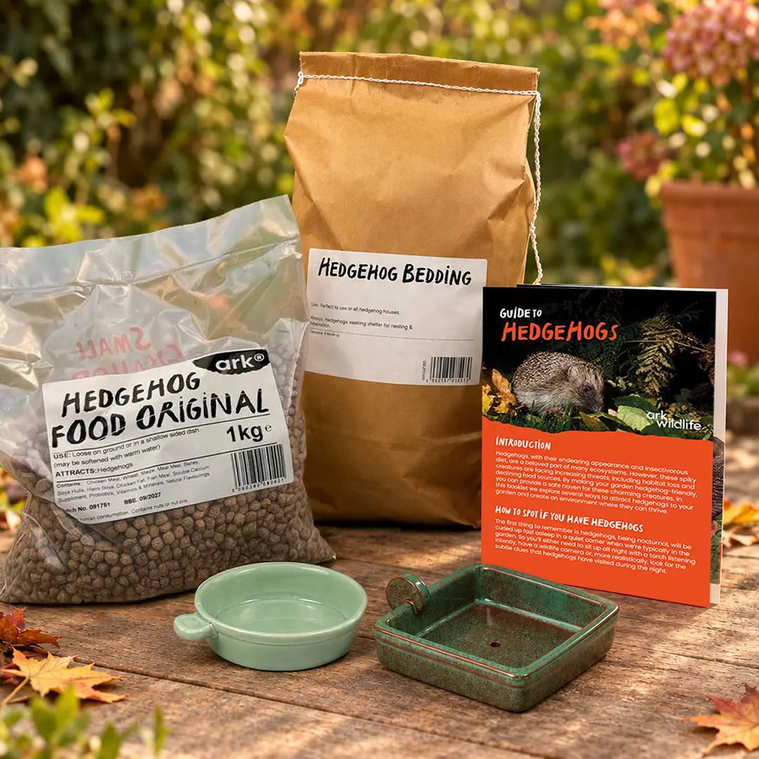 A hedgehog accessory starter kit displayed on a wooden table outdoors, featuring a bag of Ark Hedgehog Food Original, a brown paper bag of Hedgehog Bedding, a green ceramic bowl, a green ceramic nesting box, and an 'Introduction' guide card.