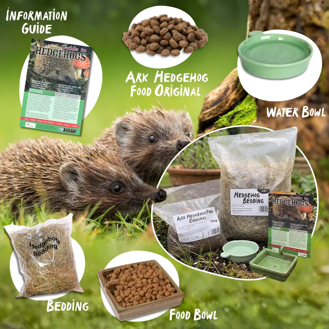 Ark Hedgehog Care Kit with food, bedding, water bowl, and information guide on a green background.