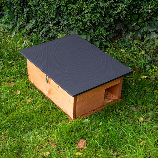 hedgehog house doorway
