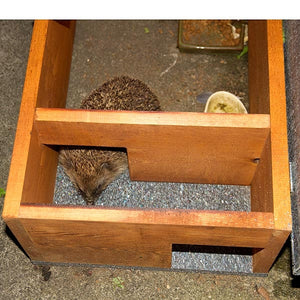 Hedgehog Feeding Station; Hedgehogs happily access through the predator proof entrances Hedgehog Feeding Station; The Hedgehog Feeding Station looks attractive in any garden.; Dual entrances allow easy access to hedgehogs but stop foxes and cats