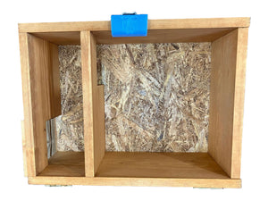 inside hedgehog house