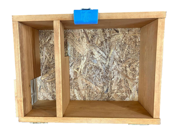 inside hedgehog house
