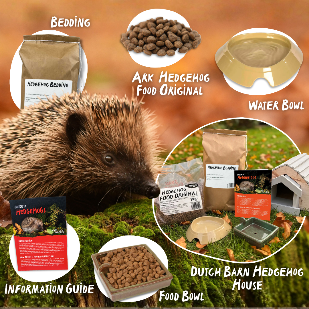 infographic showing the content of ark wildlife dutch barn hedgehog starter pack