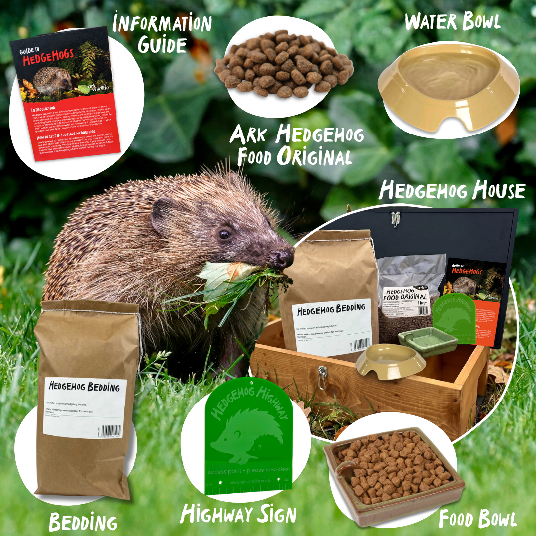 infographic showing the contents of the homes for hedgehog starter pack by ark willdife