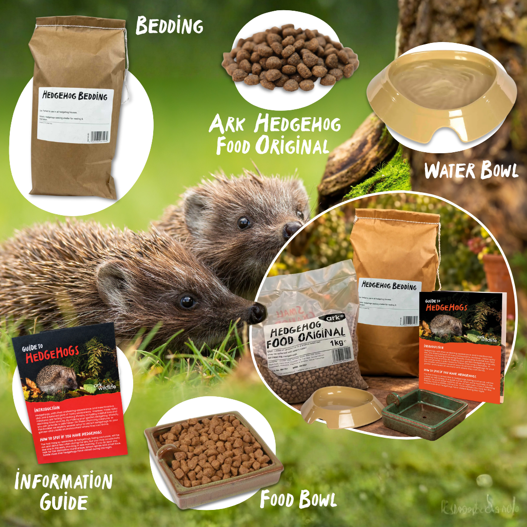 infographic showing the content of ark wildlife hedgehog accessory pack
