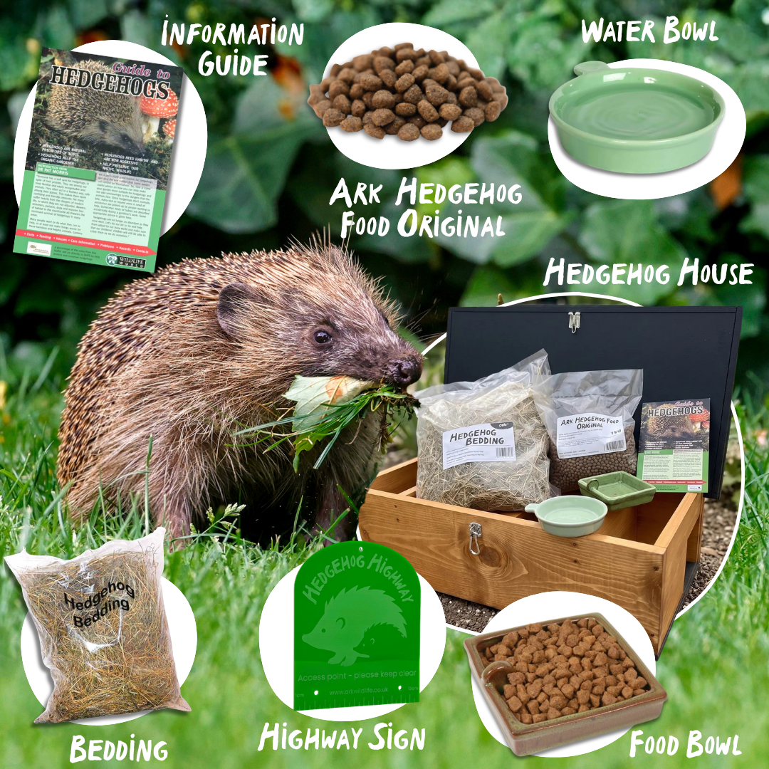 Hedgehog bundle featuring a hedgehog house with food, bedding, a green water bowl, an information guide, and a hedgehog house, with a hedgehog eating in the background.