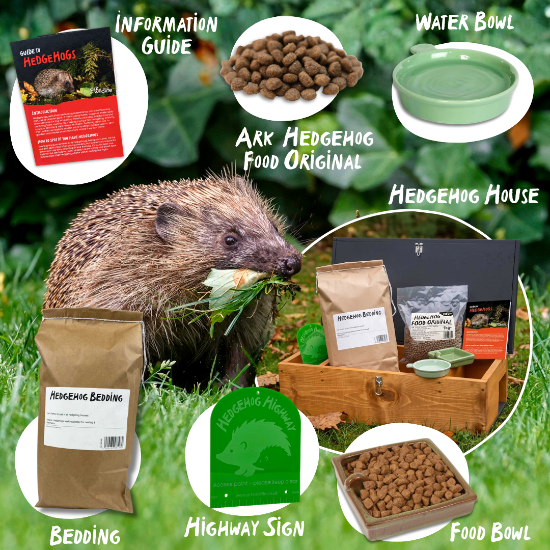 infographic showing the contents of ark wildlife's home for hedgehog starter pack