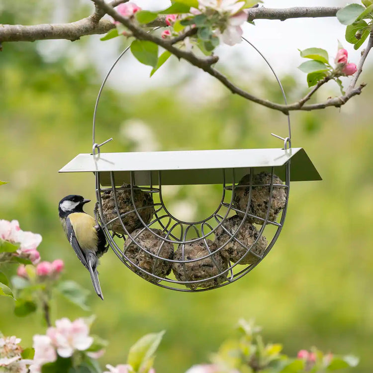 suet ball bird feeder with rain guard 