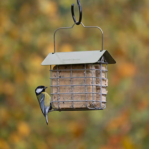 suet feast bird feeder with great tit bird