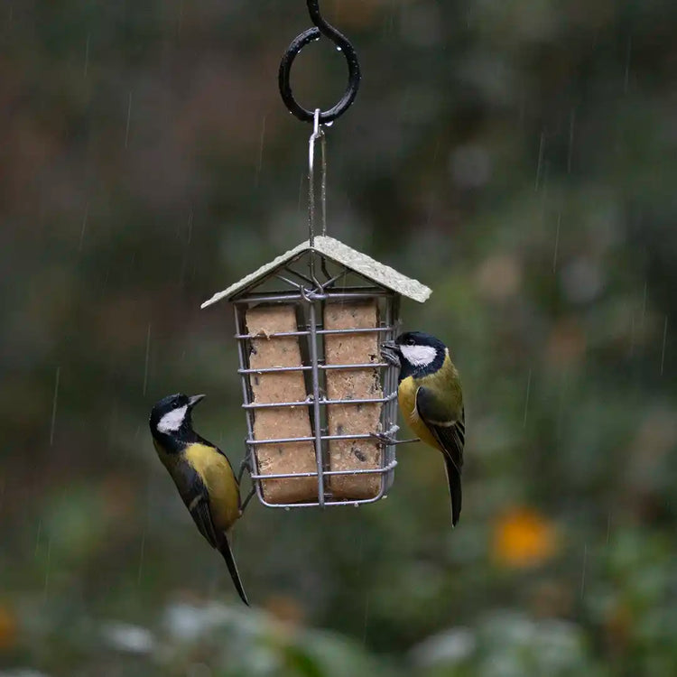 bird feeder for suet blocks with rain shelter 