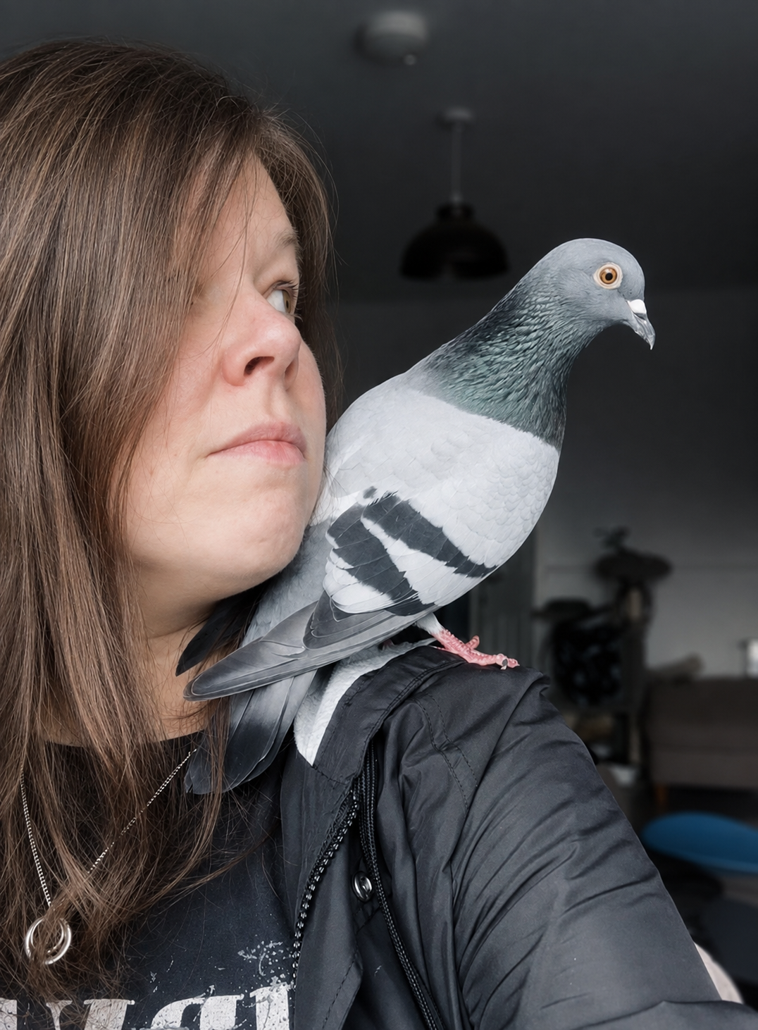 A gray and black pigeon perched on a woman's shoulder, with the woman wearing a black jacket in an indoor setting.