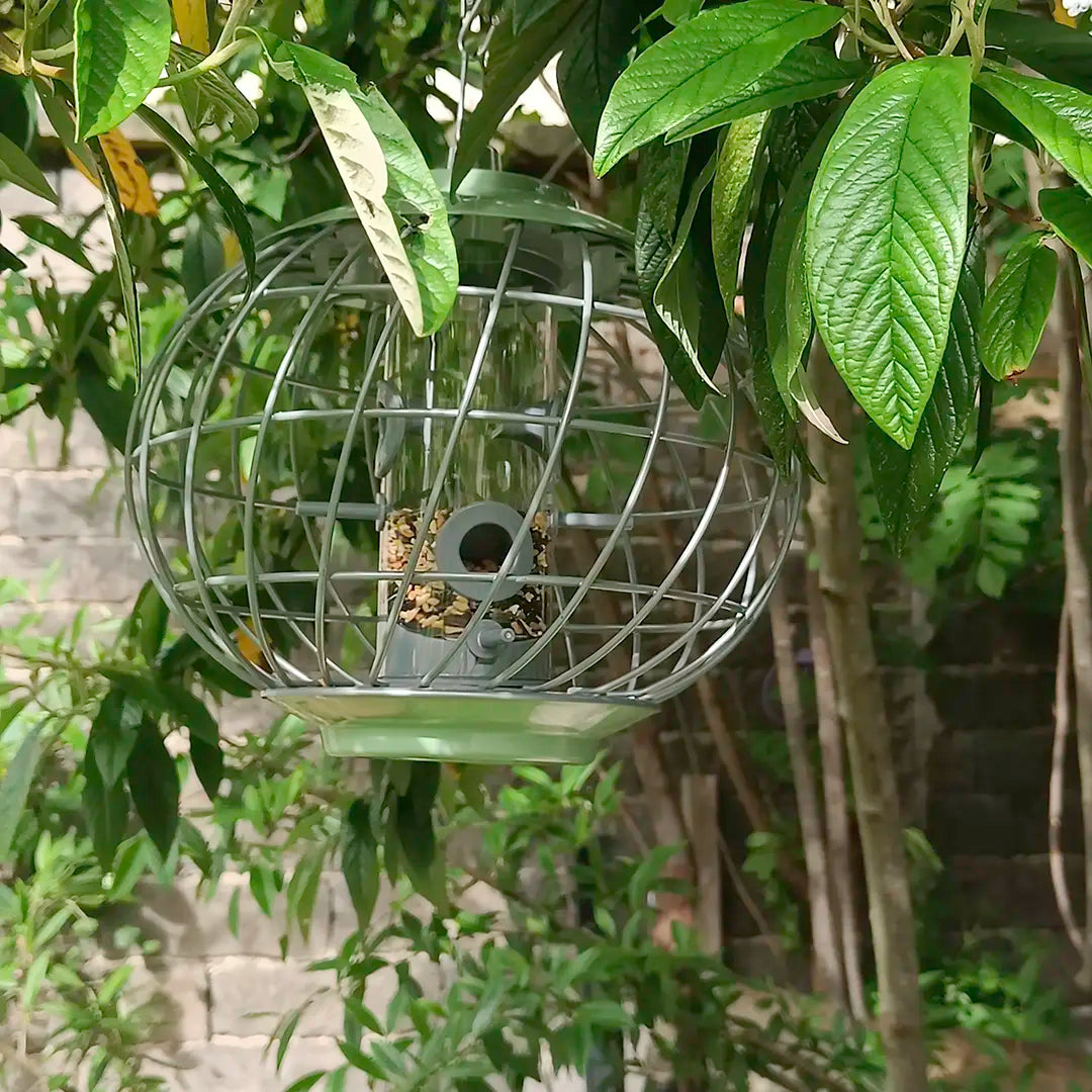Metallic caged bird feeder hanging among green leaves