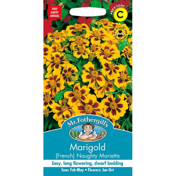 Marigold (French) Naughty Marietta;Marigold (French) Naughty Marietta Instructions