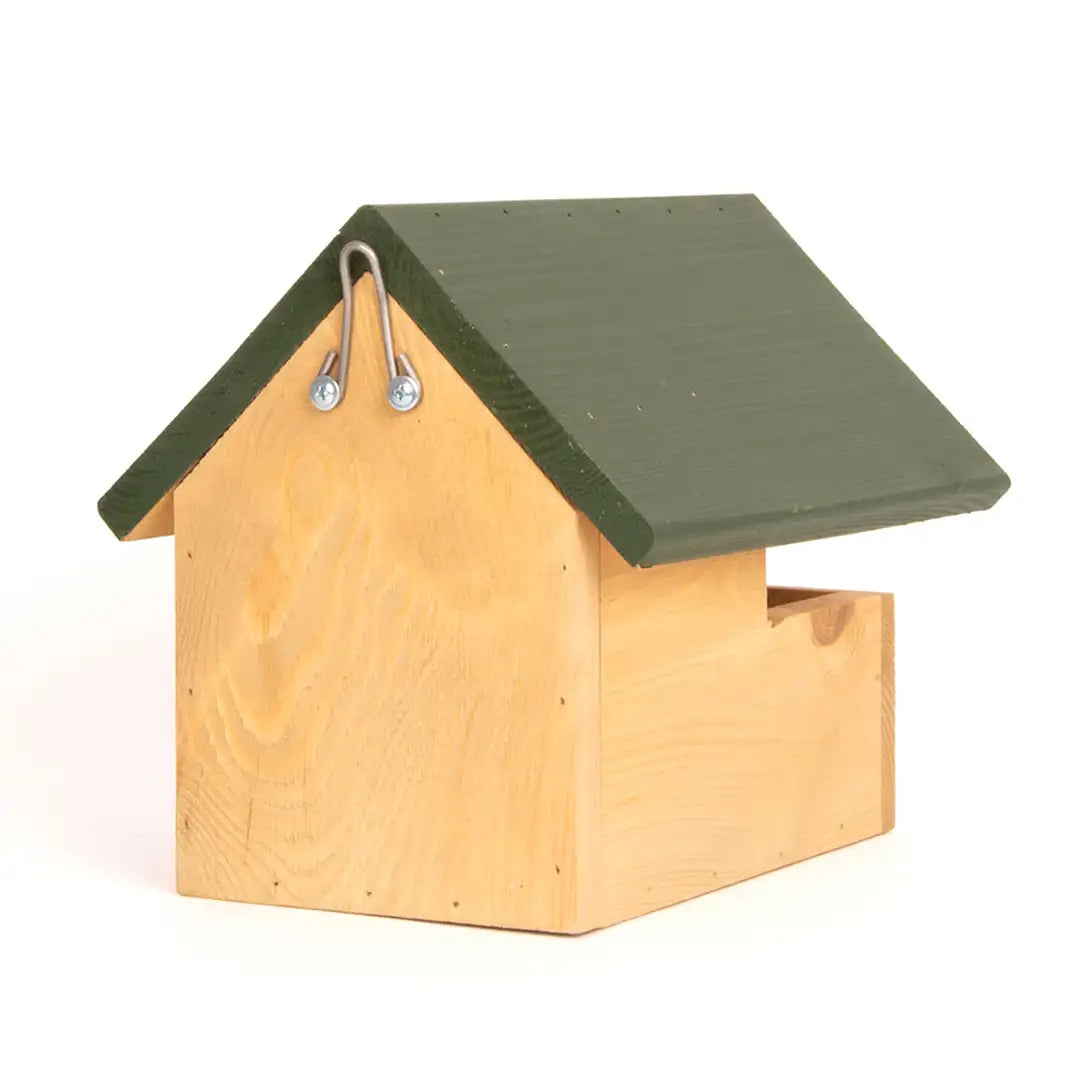 blackbird wooden nest box
