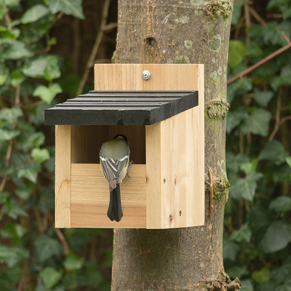 Open front bird nest box 