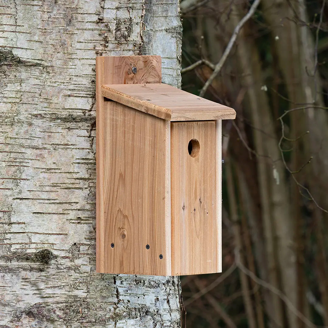 Wooden birdbox by Ark Wildlife attached to a tree trunk
