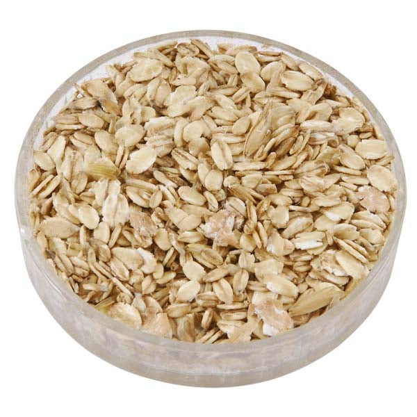 Rolled (Porridge) Oats;Robin feeding on Rolled (Porridge) Oats