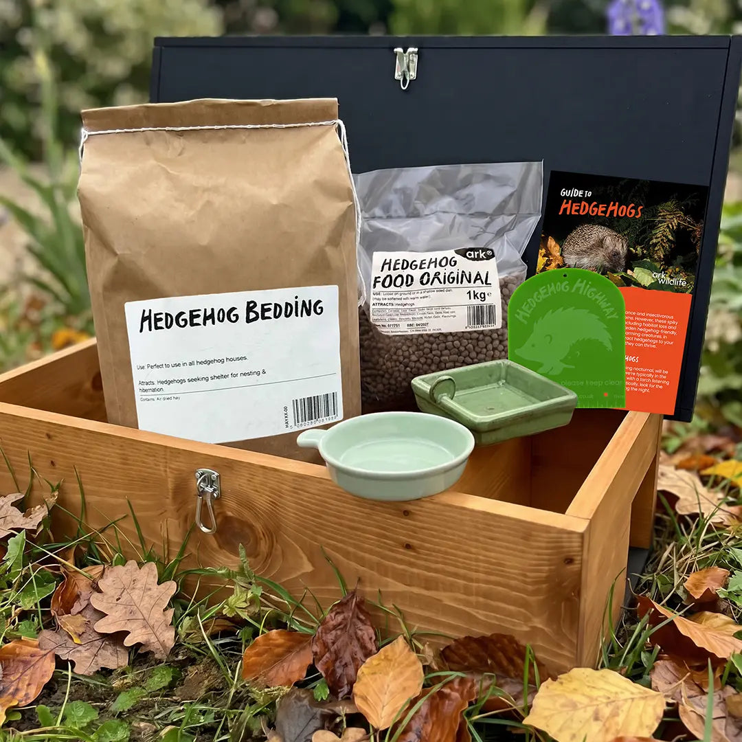A hedgehog house kit displayed outdoors in a wooden house on grass with fallen leaves. The kit includes a wooden hedgehog box, a brown paper bag labelled Hedgehog Bedding, a clear bag of Hedgehog Food Original, a green round dish, a green rectangular dish, and a green hedgehog highway sign