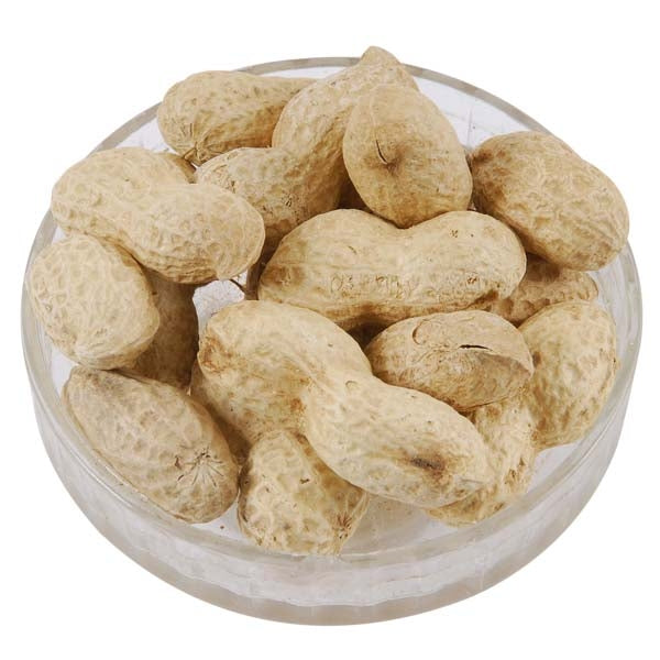 Peanut in Shells/Monkey Nuts for Squirrels & Birds | Ark Wildlife UK