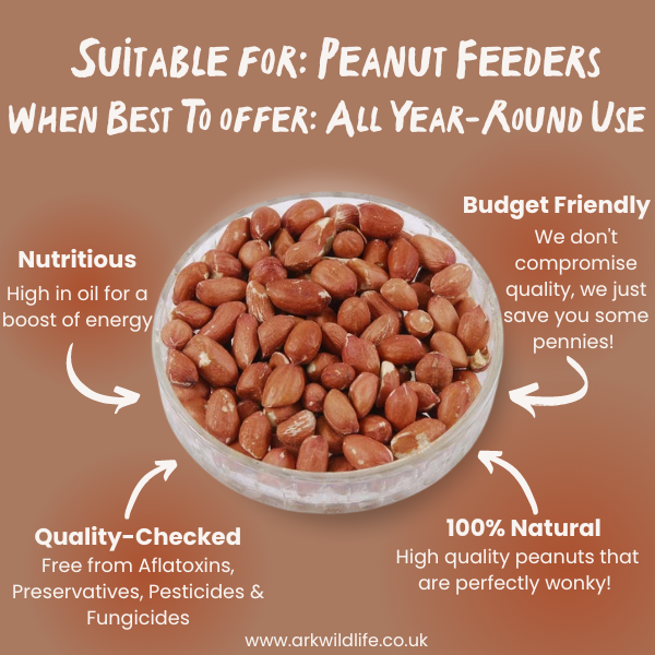 why buy peanut kernels