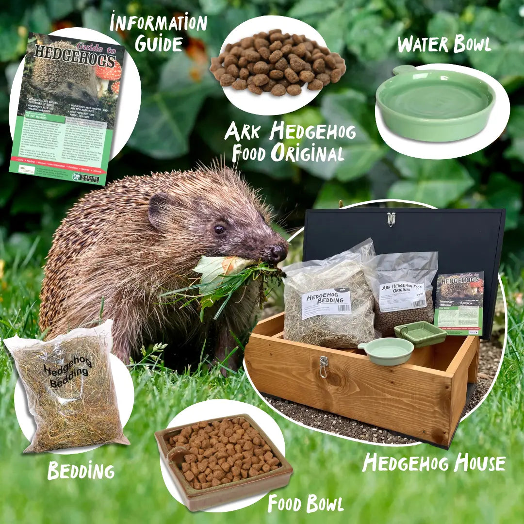 Ark Hedgehog house bundle with food, bedding, water bowl, and information guide on a green background.