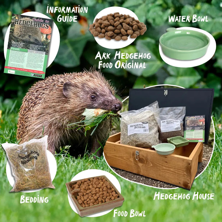 Ark Hedgehog house bundle with food, bedding, water bowl, and information guide on a green background.