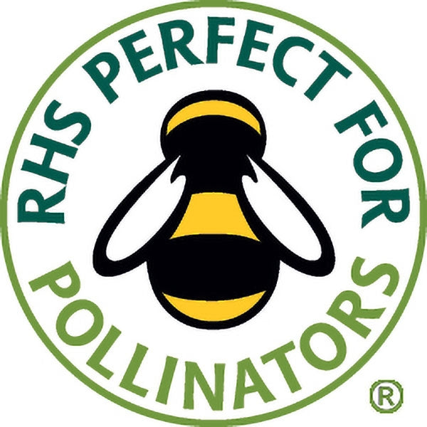 Achillea Summer Berries;Achillea Summer Berries Instructions;RHS Perfect for Pollinators