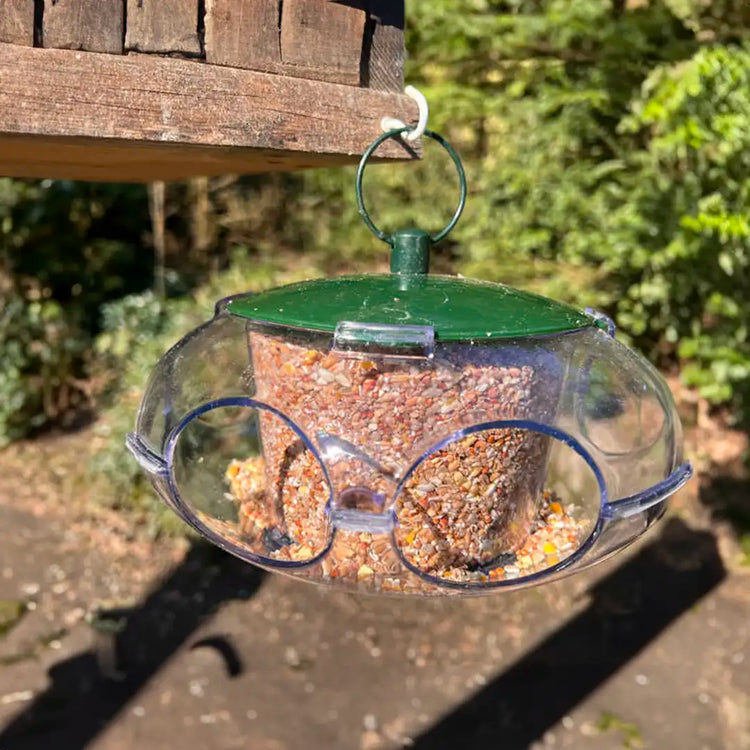 bird feeder for small birds 