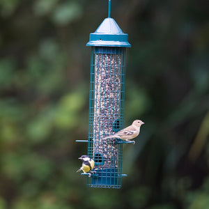 squirrel resistant bird feeder 