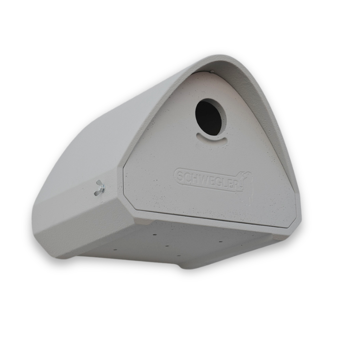 jackdaw bird nest box